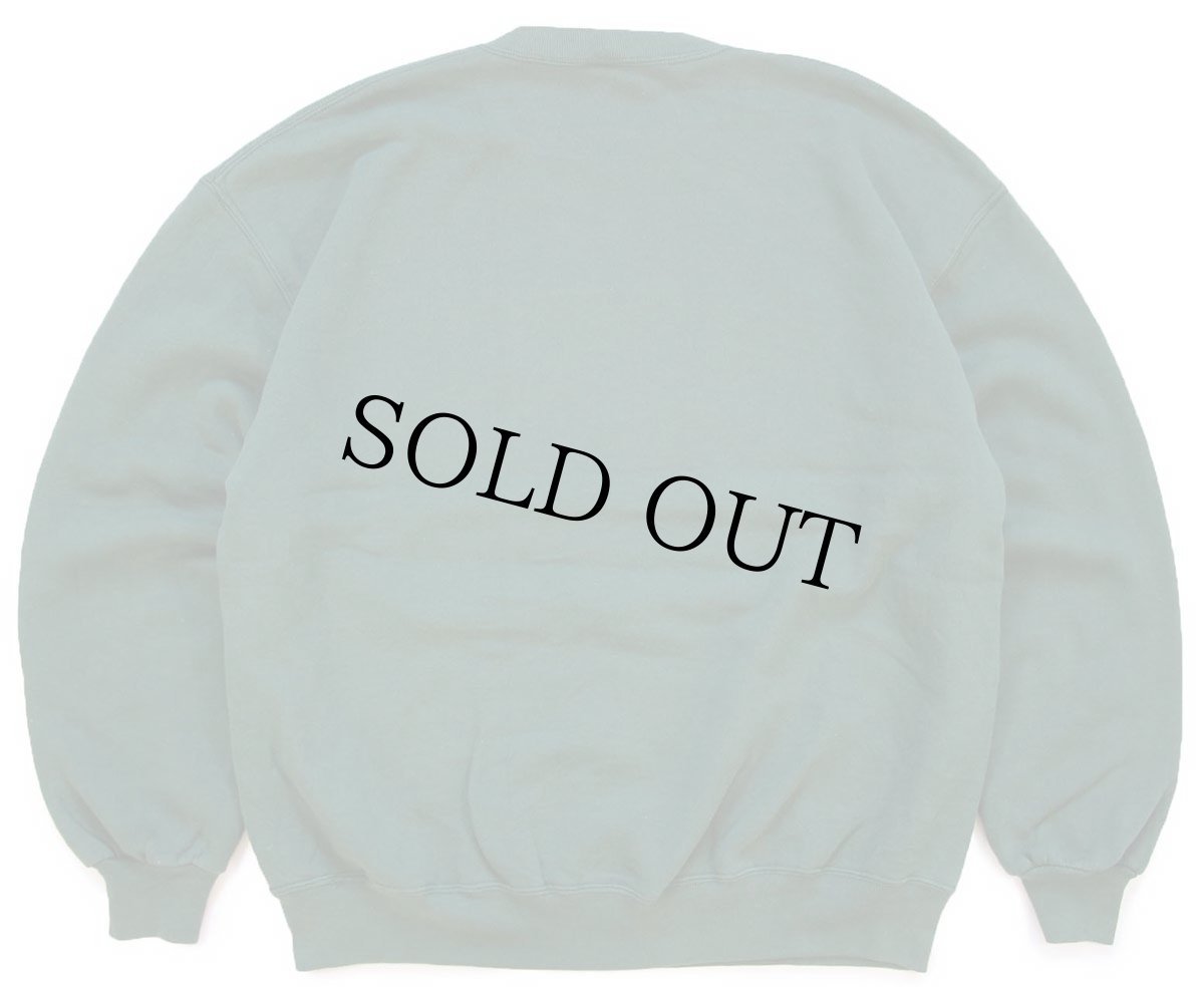 画像2: 90s USA製 RUSSELLラッセル NHL PHOENIX COYOTES パッチ&刺繍 前V スウェット 緑 XL (2)