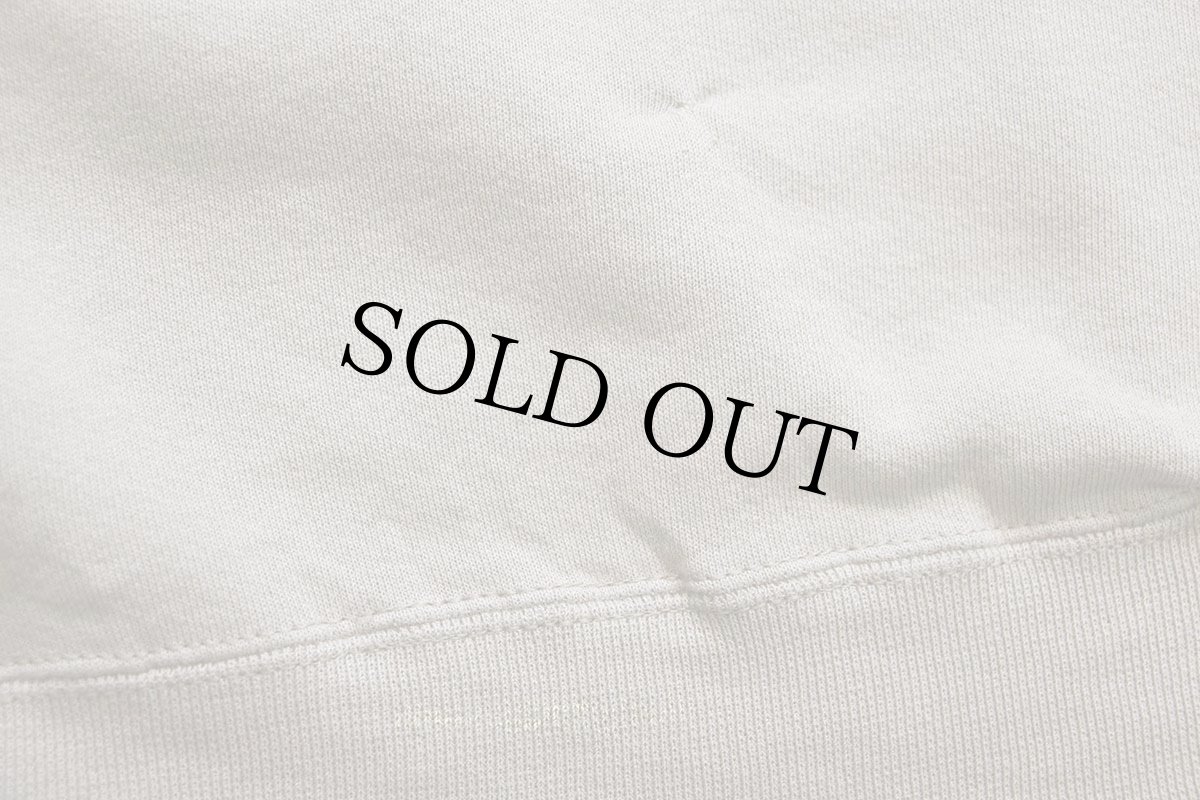 画像6: 90s USA製 RUSSELLラッセル 無地 前V スウェット ブラウンベージュ L★ブランク (6)