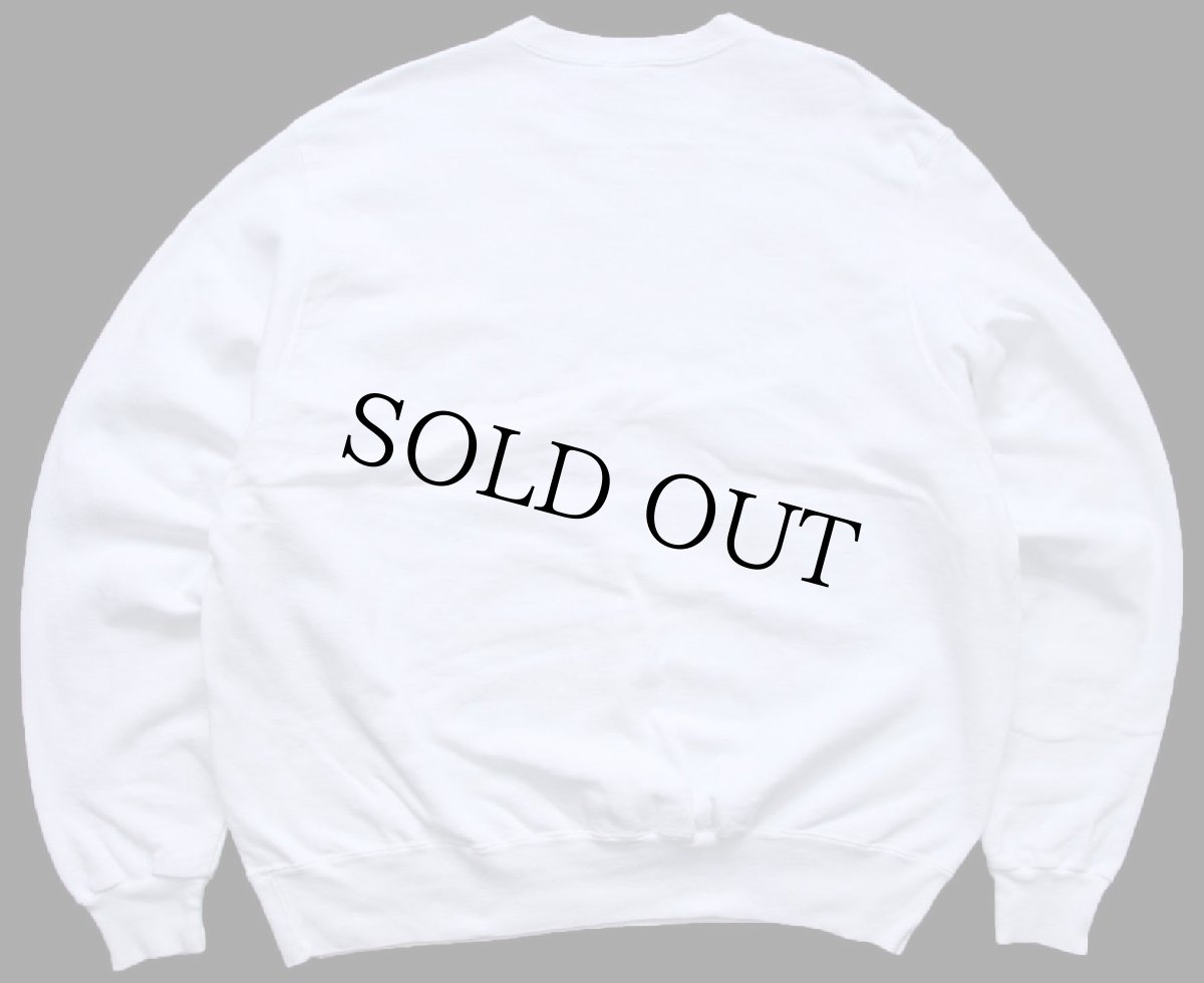 画像2: 90s USA製 Championチャンピオン サボテン ハラペーニョ ハンドペイント アート 前V スウェット 白 XL (2)