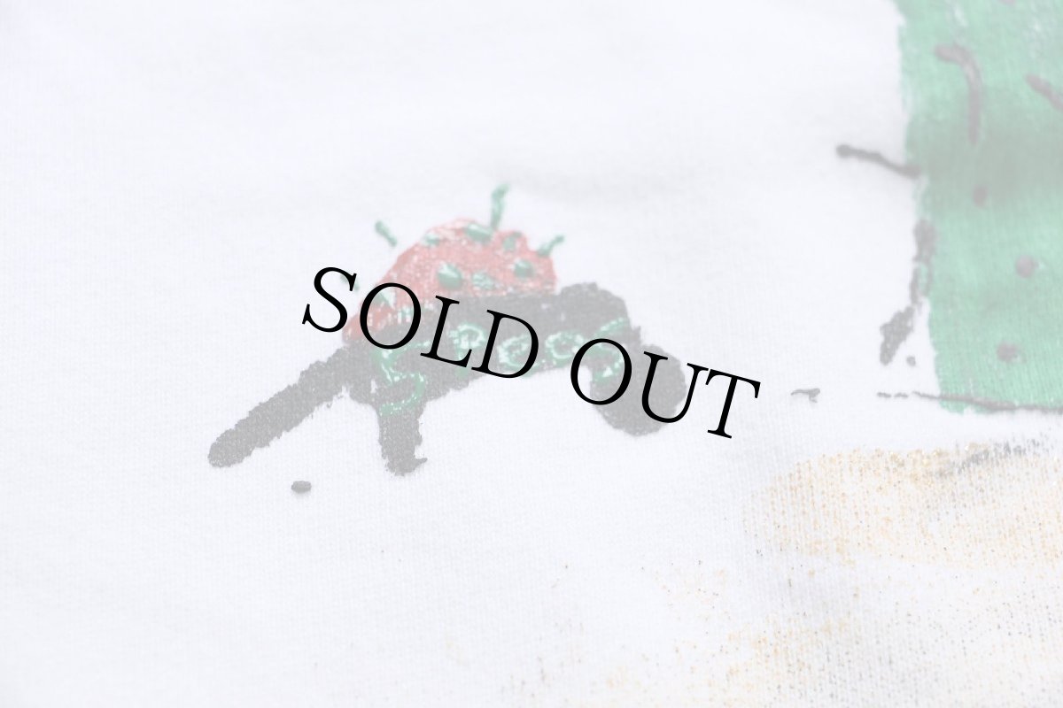 画像5: 90s USA製 Championチャンピオン サボテン ハラペーニョ ハンドペイント アート 前V スウェット 白 XL (5)