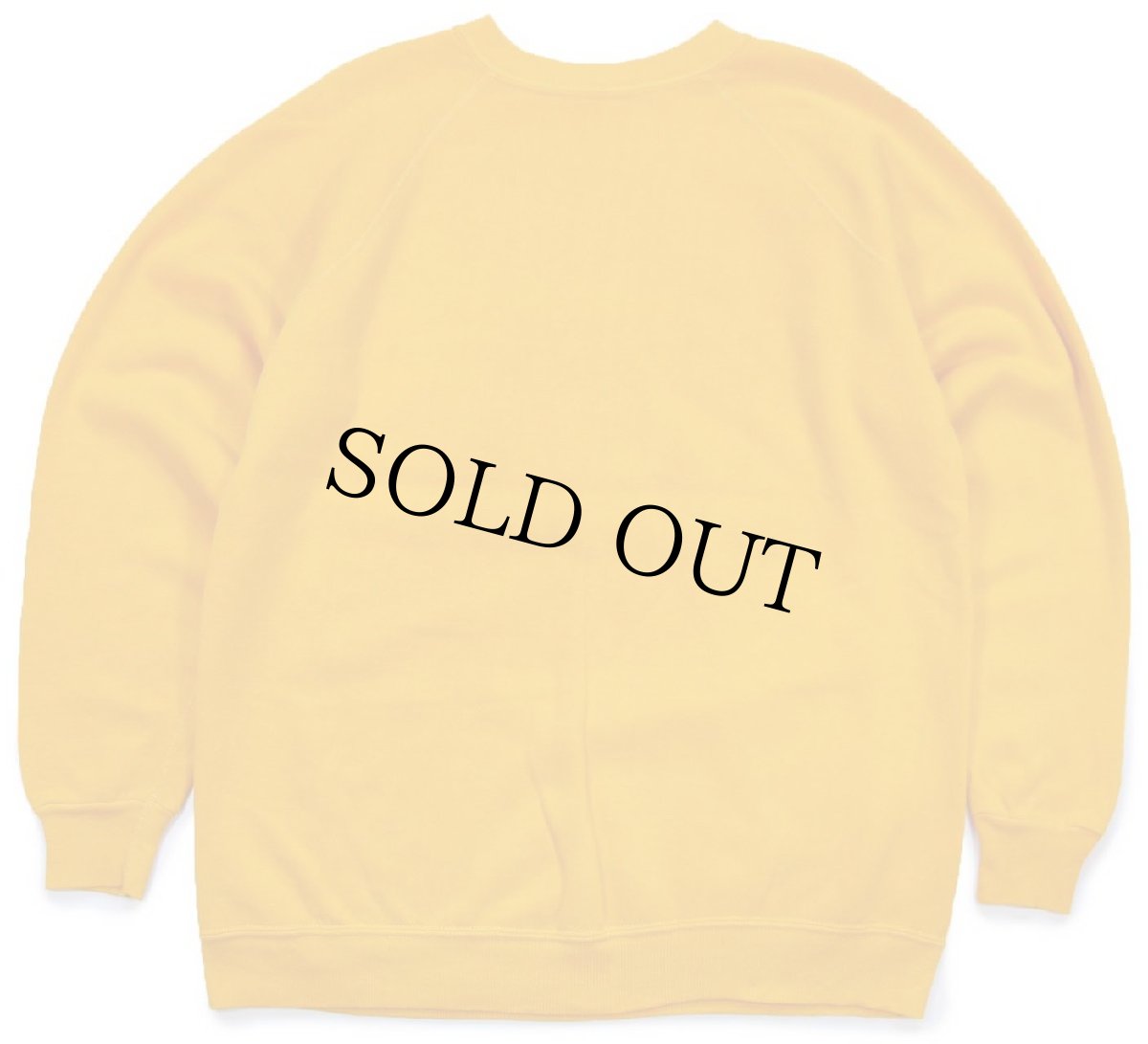 画像2: 70s USA製 NATIONAL RAIL ROADERS CAMPING ASS'N 染み込み バックプリント スウェット 濃黄 XL (2)