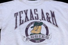 画像3: 90s USA製 TEXAS A&M AGGIES マスコット ひび割れプリント ペンキ飛び スウェット 杢ライトグレー L (3)