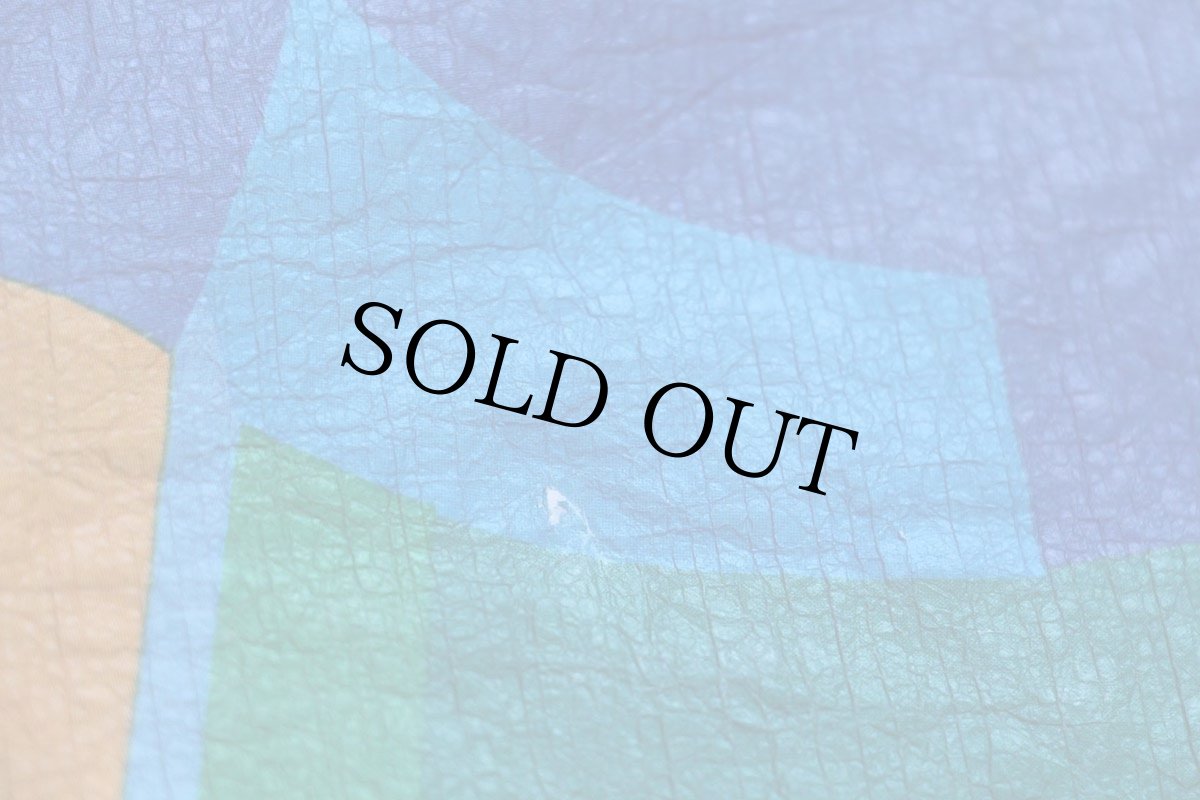 画像8: 90s STP 1994 Bicycle アート 全面プリント STARBUCKS COFFEE adidas YAKIMA SUBARU 協賛 ペーパージャケット M (8)