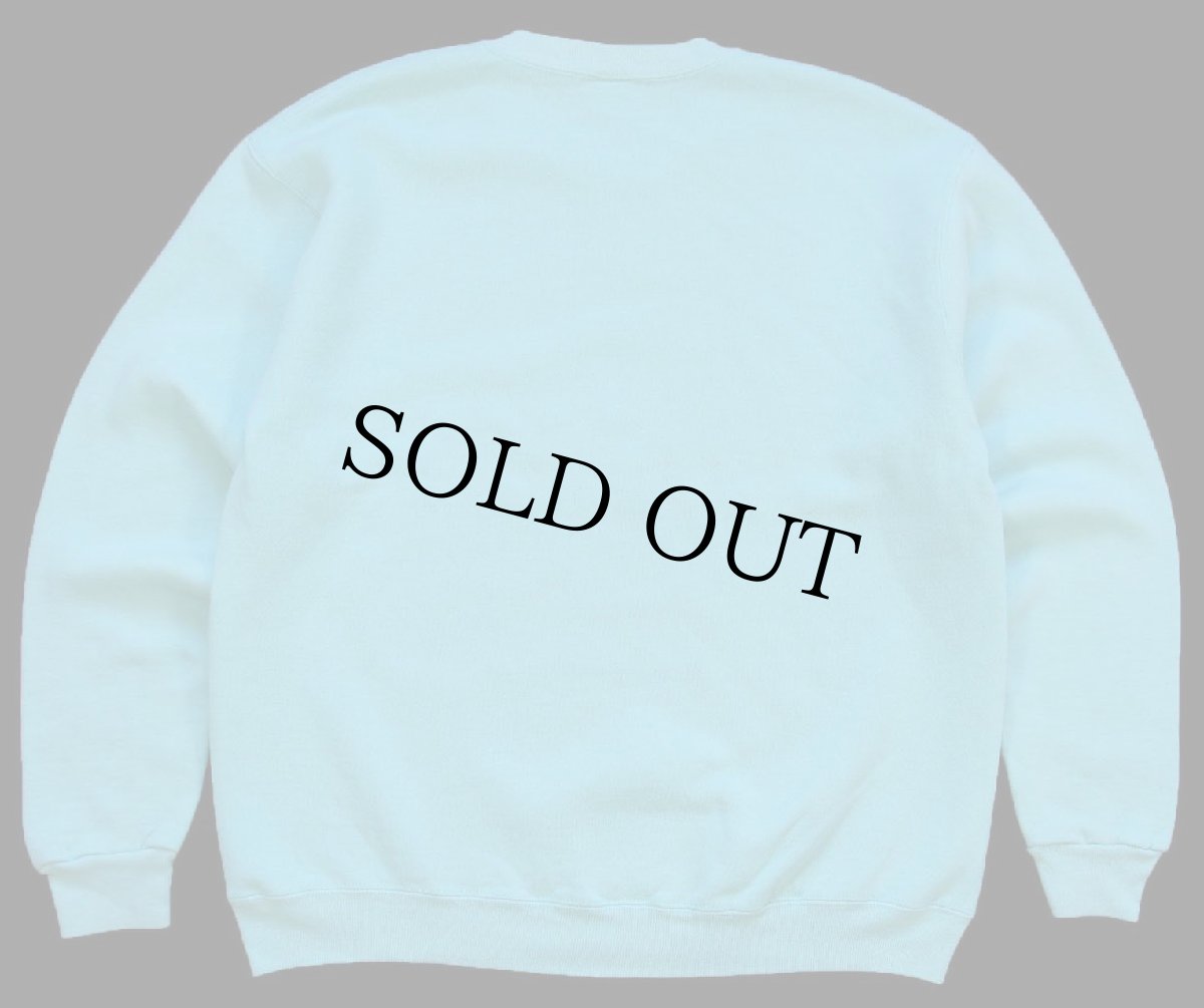 画像2: 80s USA製 RUSSELLラッセル AVALON アンカーマーク 前V スウェット ミント L (2)