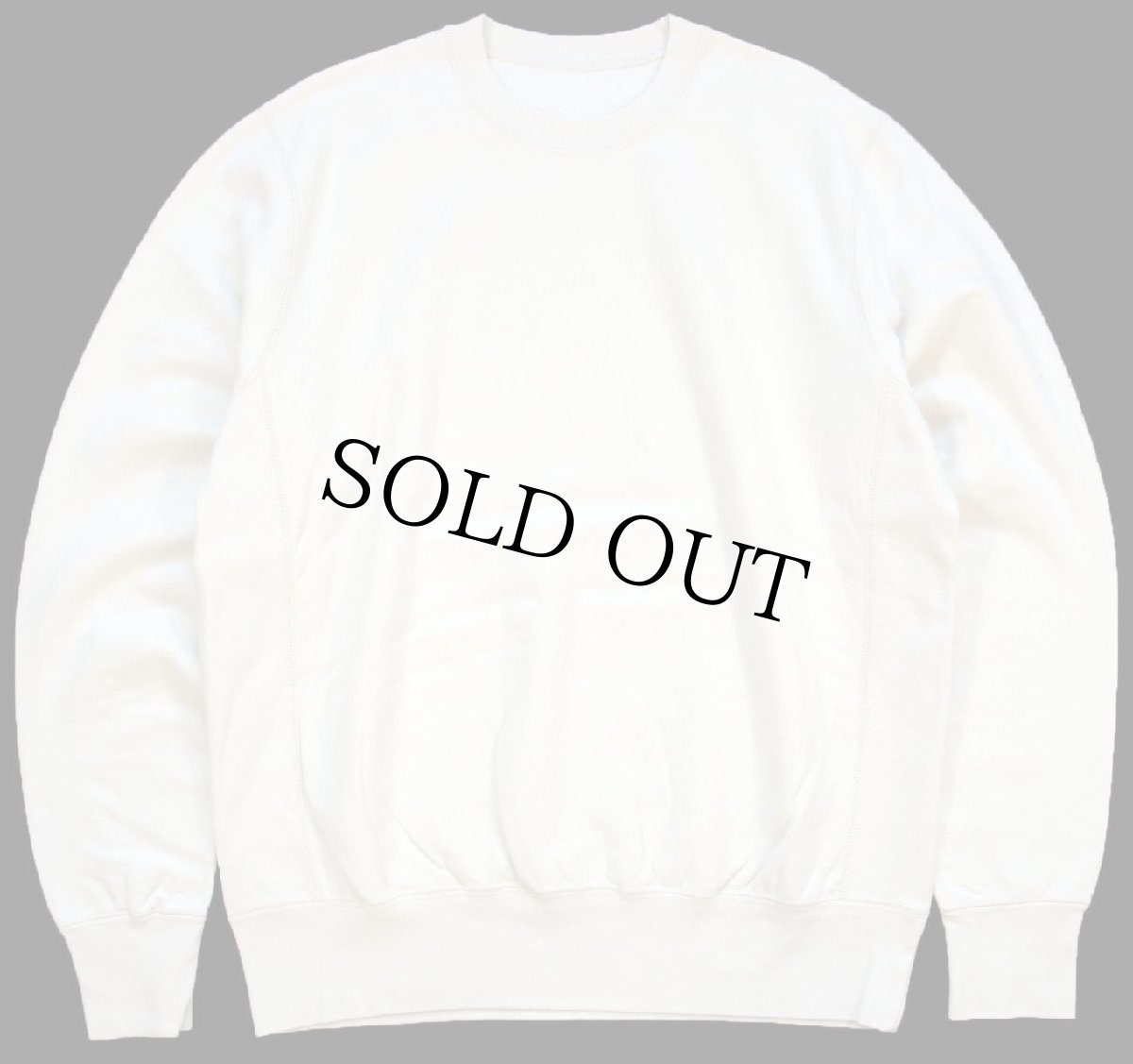 画像1: カナダ製 無地 コットン リバースウィーブ スウェット 生成り M★ブランク (1)