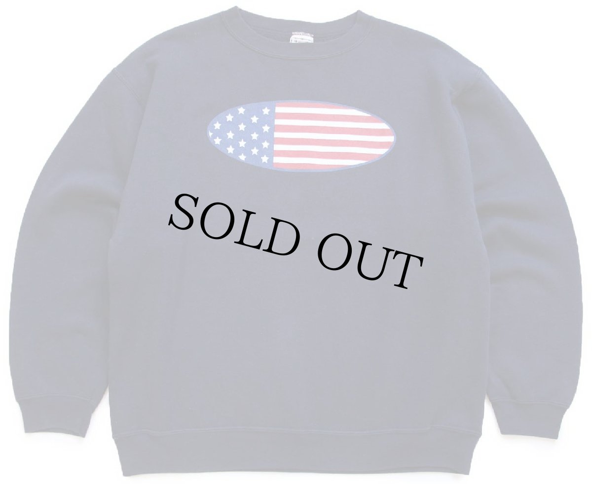 画像1: 90s USA製 Alore オーバル 星条旗柄 スウェット 濃紺 XL (1)