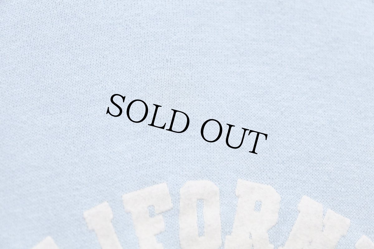 画像6: 80s CALIFORNIA BERKELEY フロッキープリント スウェット 水色 (6)