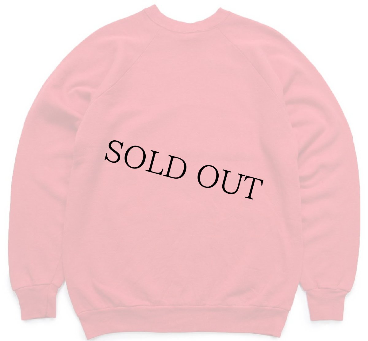 画像2: 90s USA製 PRINCETON UNIVERSITY タイガー スウェット 赤 XL (2)