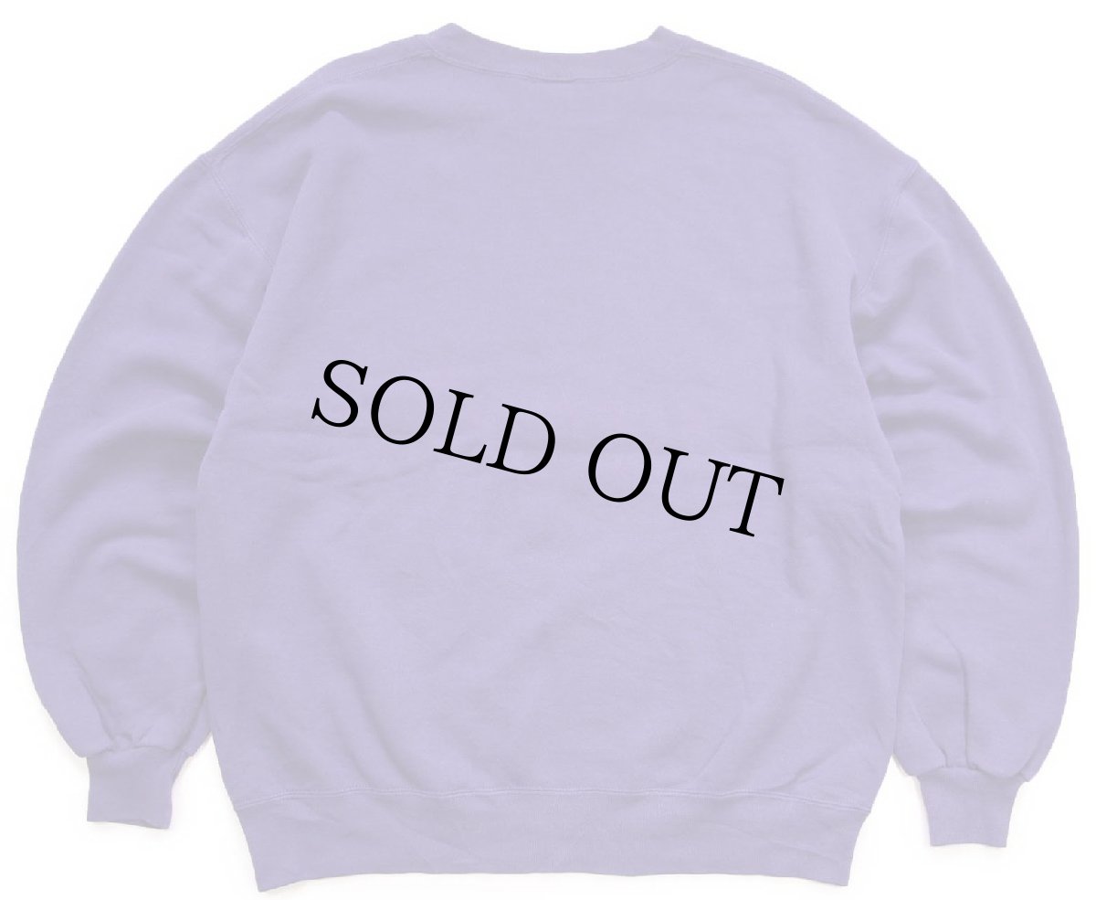 画像2: 90s USA製 RUSSELLラッセル NFL MINNESOTA VIKINGS 前V スウェット 紫 L (2)