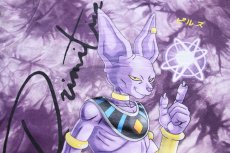 画像4: DRAGONBALL SUPER ドラゴンボール超 破壊神ビルス 両面&袖 刺繍&プリント タイダイ染め スウェットパーカー S★フーディー (4)