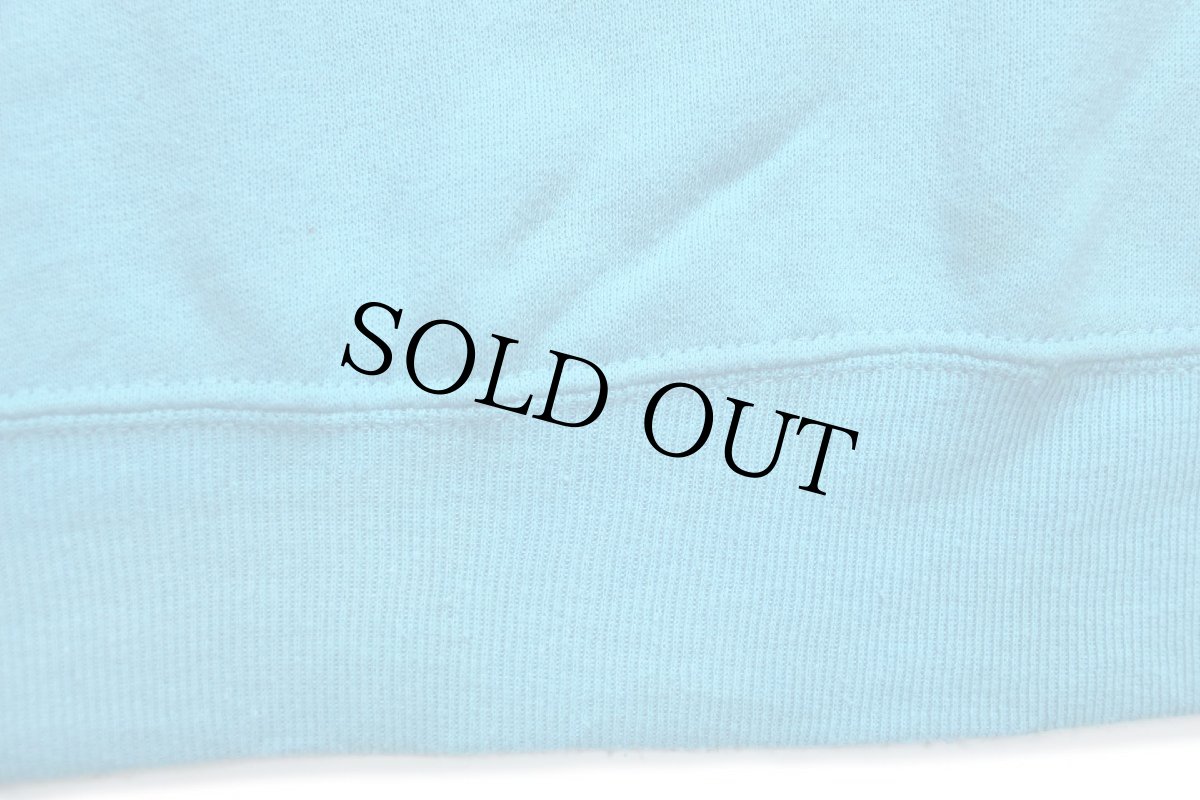 画像7: 80s USA製 YOU CANNOT TAME WHAT IS MEANT TO BE WILD メッセージ イラスト 両面プリント スウェット 水色 L (7)