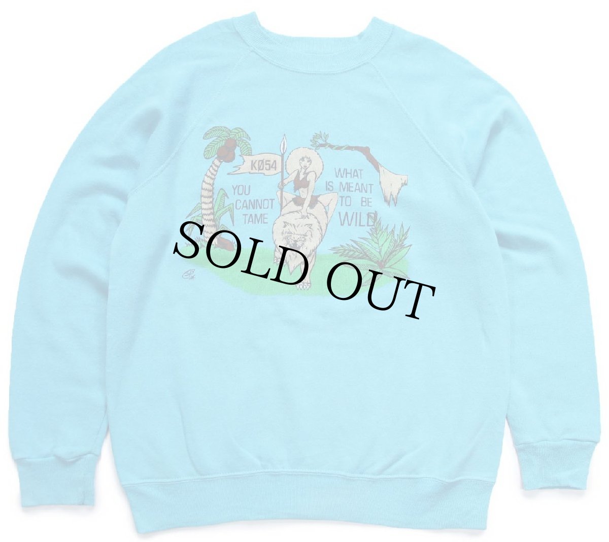 画像1: 80s USA製 YOU CANNOT TAME WHAT IS MEANT TO BE WILD メッセージ イラスト 両面プリント スウェット 水色 L (1)