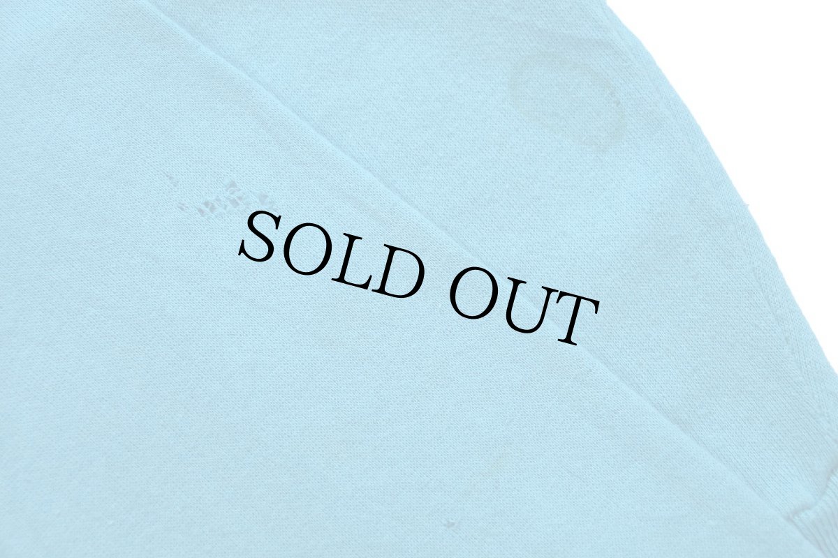 画像8: 80s USA製 YOU CANNOT TAME WHAT IS MEANT TO BE WILD メッセージ イラスト 両面プリント スウェット 水色 L (8)