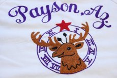 画像4: 80s USA製 SPORTSMASTER Payson,Az エルクス チェーン刺繍 星条旗パッチ付き ジャケット 白 L (4)