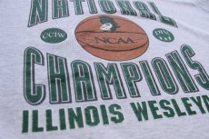 画像4: 90s メキシコ製 Championチャンピオン NCAA ILLINOIS WESLEYAN 前V スウェット 杢グレー XL (4)