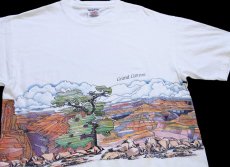 画像1: 90s USA製 Grand Canyon アート 両面プリント コットンTシャツ 白 L★グランドキャニオン国立公園 (1)