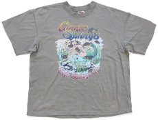 画像2: 90s USA製 Ginnie Springs マーメイド フィッシュ イラスト コットンTシャツ カスタム グリーングレー XL (2)