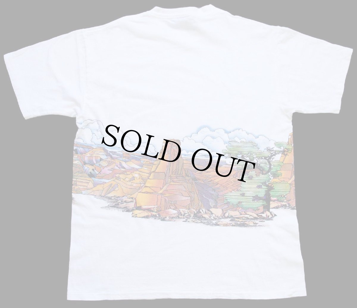 画像3: 90s USA製 Grand Canyon アート 両面プリント コットンTシャツ 白 L★グランドキャニオン国立公園 (3)