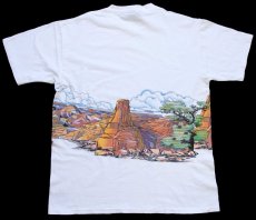 画像3: 90s USA製 Grand Canyon アート 両面プリント コットンTシャツ 白 L★グランドキャニオン国立公園 (3)