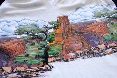 画像8: 90s USA製 Grand Canyon アート 両面プリント コットンTシャツ 白 L★グランドキャニオン国立公園 (8)