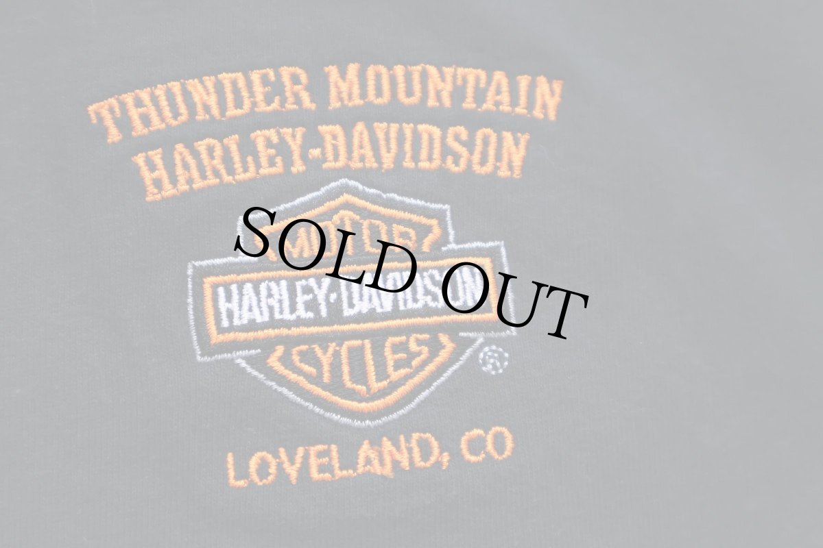 画像4: 00s HARLEY-DAVIDSON ハーレー ダビッドソン THUNDER MOUNTAIN ロゴ刺繍 コットンTシャツ 黒 XL (4)