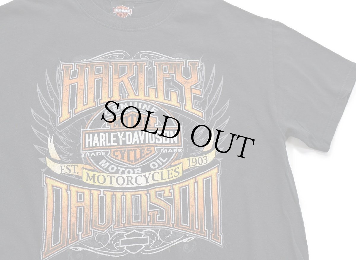 画像1: HARLEY-DAVIDSON ハーレー ダビッドソン 両面プリント コットンTシャツ 黒 (1)