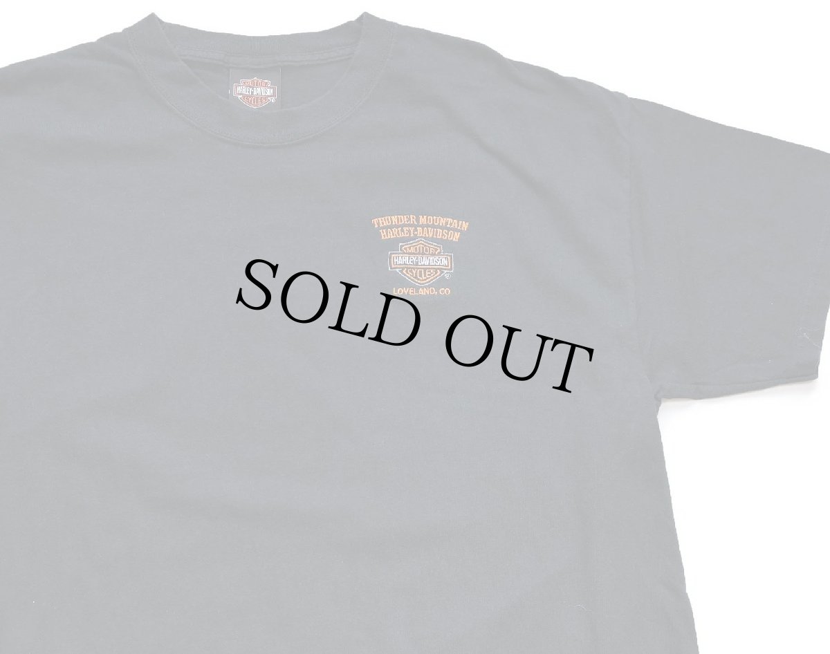 画像1: 00s HARLEY-DAVIDSON ハーレー ダビッドソン THUNDER MOUNTAIN ロゴ刺繍 コットンTシャツ 黒 XL (1)
