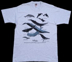画像2: 90s カナダ製 Whales of the Pacific Coast クジラ シャチ アート コットンTシャツ 杢ライトグレー L (2)