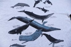 画像4: 90s カナダ製 Whales of the Pacific Coast クジラ シャチ アート コットンTシャツ 杢ライトグレー L (4)