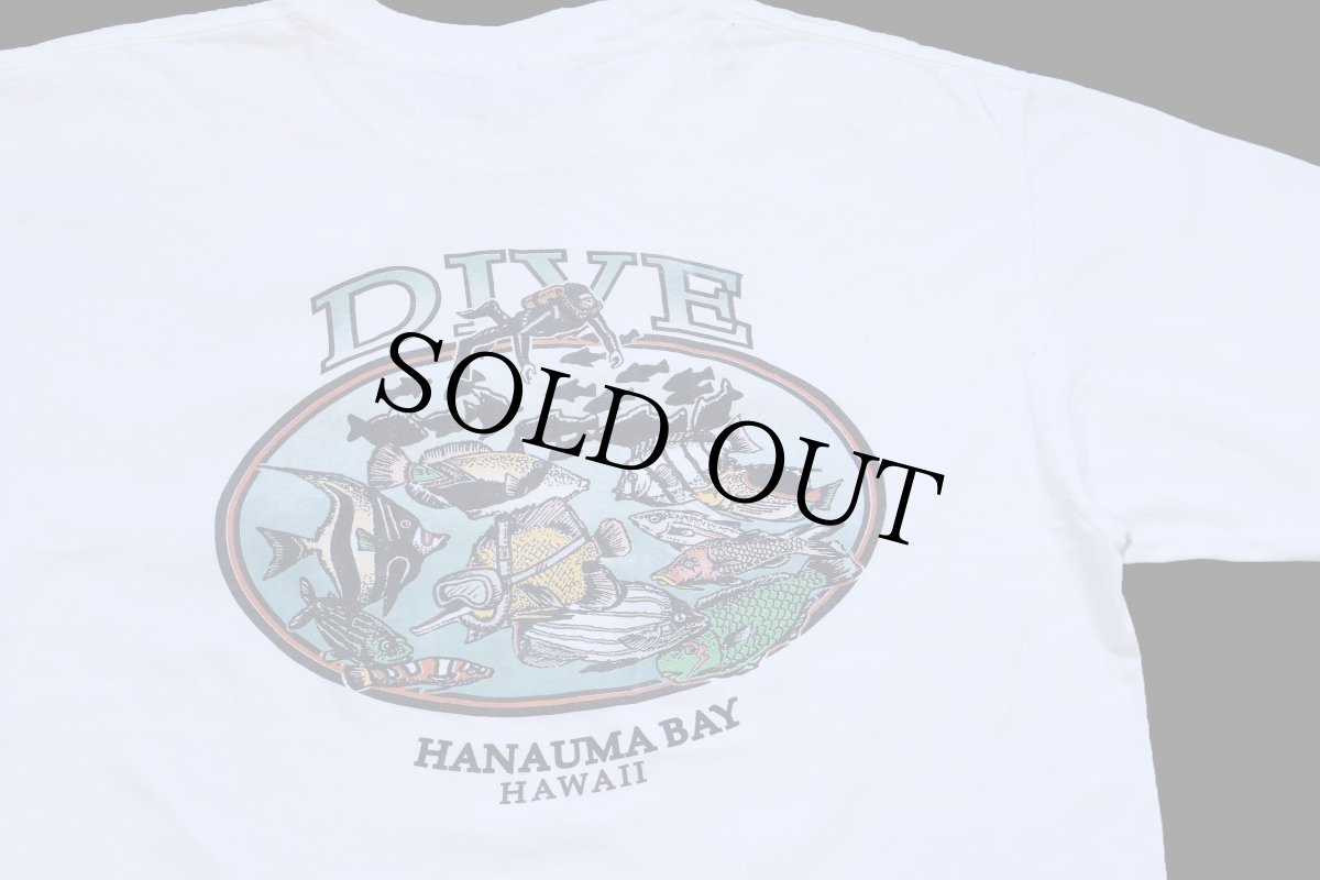 画像4: 90s USA製 DIVE HANAUMA BAY HAWAII スキューバダイビング 熱帯魚 コットンTシャツ 白 XL (4)