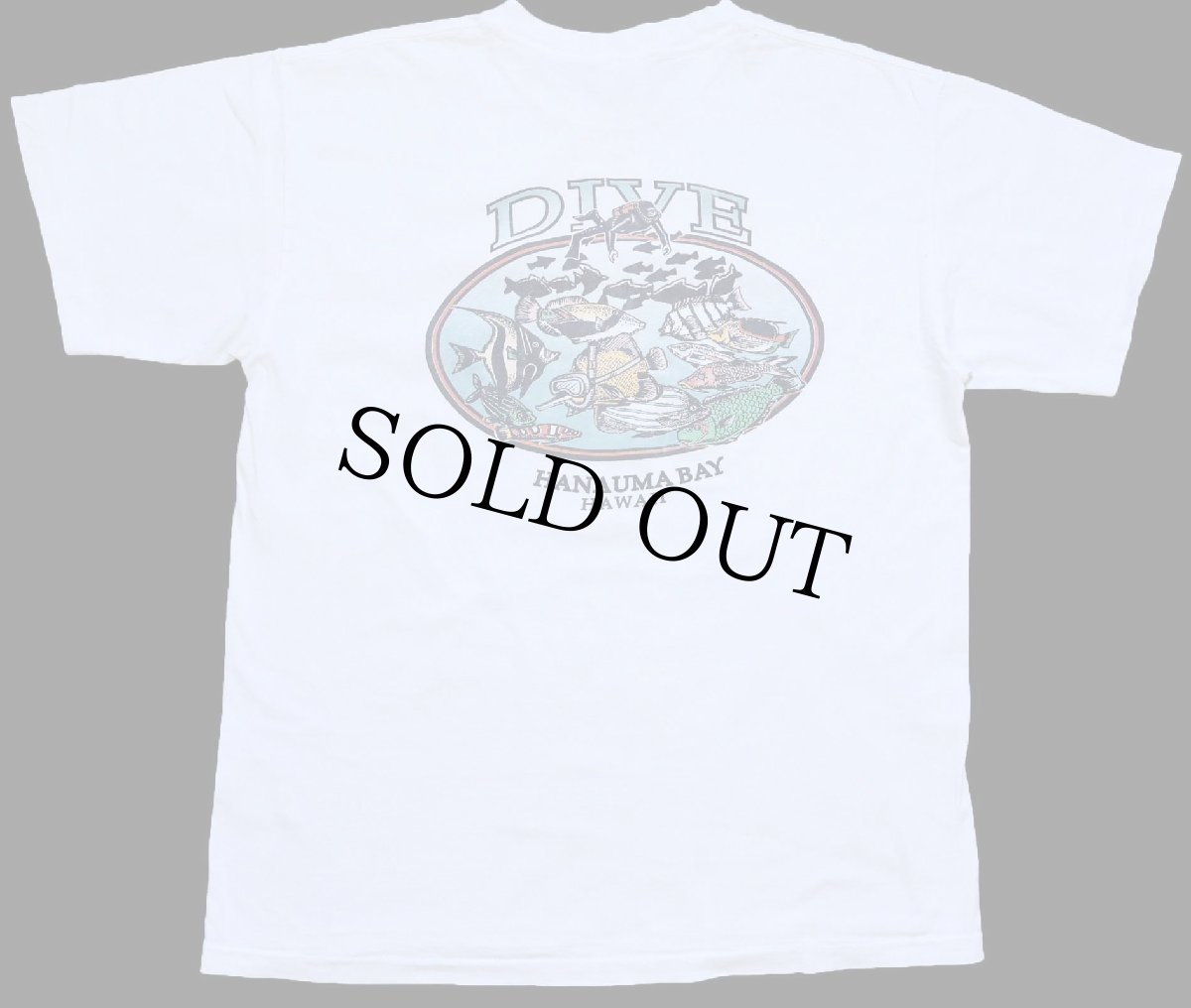 画像3: 90s USA製 DIVE HANAUMA BAY HAWAII スキューバダイビング 熱帯魚 コットンTシャツ 白 XL (3)