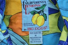 画像5: 90s CALIFORNIA LEMONS BY BIG DOGS ビッグドッグス レモン 総柄 半袖 レーヨンシャツ M (5)