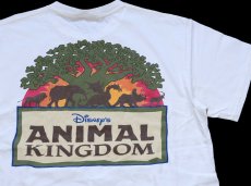 画像1: 00s Walt Disney World ディズニー ANIMAL KINGOM 両面プリント コットンTシャツ 生成り (1)