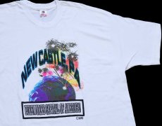 画像1: 90s USA製 NEW CASTLE. PA FIREWORKS CAPITAL OF AMERICA! ラメ入り コットンTシャツ 白 XXL★特大 (1)