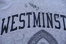 画像4: 90s USA製 The Cotton Exchange WESTMINSTER ペンキ飛び コットン×レーヨン Tシャツ 杢グレー ボロ L (4)