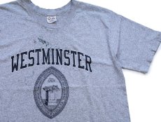 画像1: 90s USA製 The Cotton Exchange WESTMINSTER ペンキ飛び コットン×レーヨン Tシャツ 杢グレー ボロ L (1)