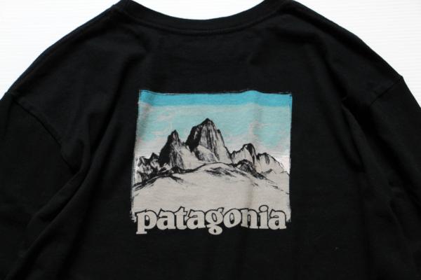 USA製 patagoniaパタゴニア オーガニックコットン 長袖Tシャツ 黒 M