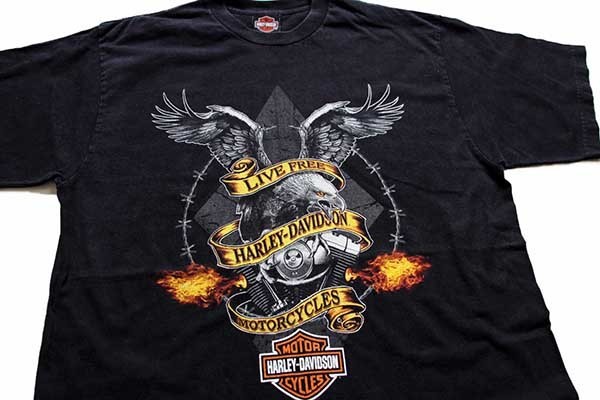 HOLOUBEK Harley-Davidson ハーレーダビッドソン モーターサイクル バイクTシャツ USA製 メンズM /eaa231360