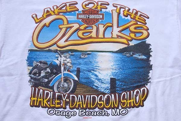 ハーレーダビッドソン Harley-Davidson 両面プリント モーターサイクル バイクTシャツ メンズS /eaa358636