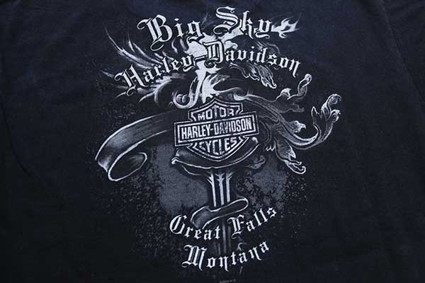 ビッグサイズ ハーレーダビッドソン Harley-Davidson 袖プリント 両面プリント ロングTシャツ ロンT メンズXXXL /eaa371001