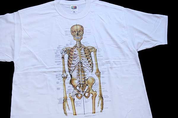 デッドストック☆00s Anatomical Chart Co. 人体 骨格 模型 コットンT